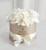 Luxurious round beige gift box filled with white gardenias, wrapped with a wide satin cream ribbon and bow. The box is printed with “Serene Gardenias” and a small logo. Set on a soft white background.