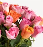 A vibrant bouquet of fresh roses in various shades of sorbet colors, including pastel pink, bright orange, and bicolored petals with dark pink edges and light centers, set against a plain white background.