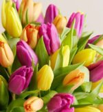 A vibrant close-up photograph of a dense bouquet of fresh spring tulips in assorted colors including bright yellow, deep purple, and soft orange, accented by lush green leaves.
