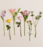 A minimalist arrangement of seven individual flower stems lined up horizontally against a neutral beige background, featuring lilies, roses, carnations, and greenery in various shades of pink, yellow, and purple.
