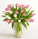 A lush and elegant bouquet of fresh pink and white tulips arranged in a clear, ribbed glass vase, set against a plain off-white background.