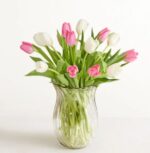 A bouquet of fresh pink and white tulips arranged in a clear, fluted glass vase against a plain white background.