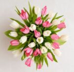 A top-down view of a lush bouquet of pink and white tulips with vibrant green leaves against a neutral light-colored background.