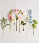 A flat-lay composition of various individual flower stems and greenery including pink lilies, roses, gerberas, snapdragons, and blue delphiniums arranged in a row against a light grey background.