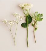 Flat lay of three white floral stems on a light beige background: a spray of baby's breath on the left, a white spray rose with three blooms and green leaves in the center, and a variegated green and white foliage stem on the right.