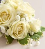 Close-up of a white spray rose corsage with creamy ivory rosebuds, delicate white baby's breath flowers, and variegated green and cream leaves.